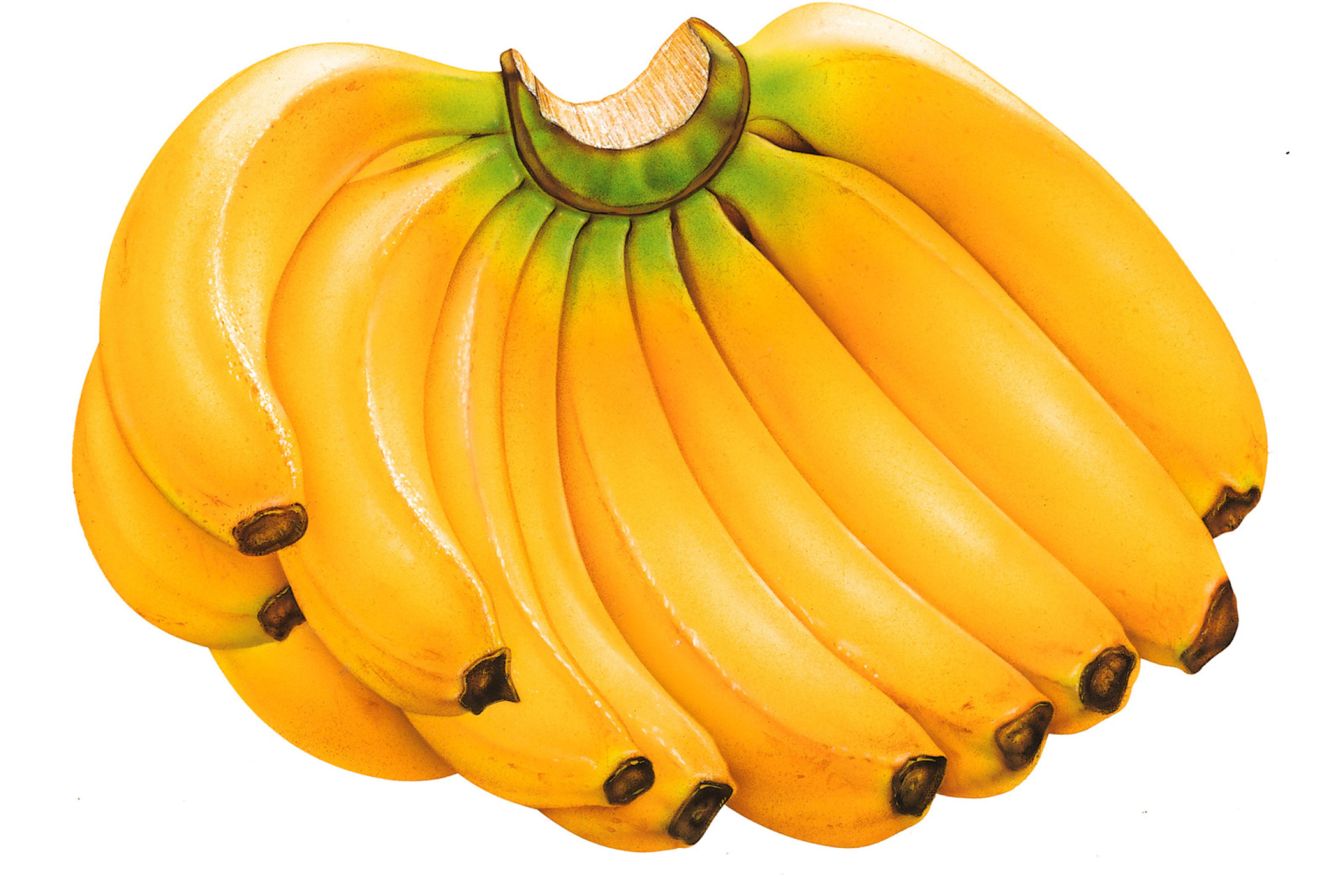 Sweet Bananas 2880x1920 1