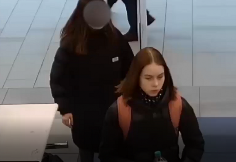 Две девушки украли девушку